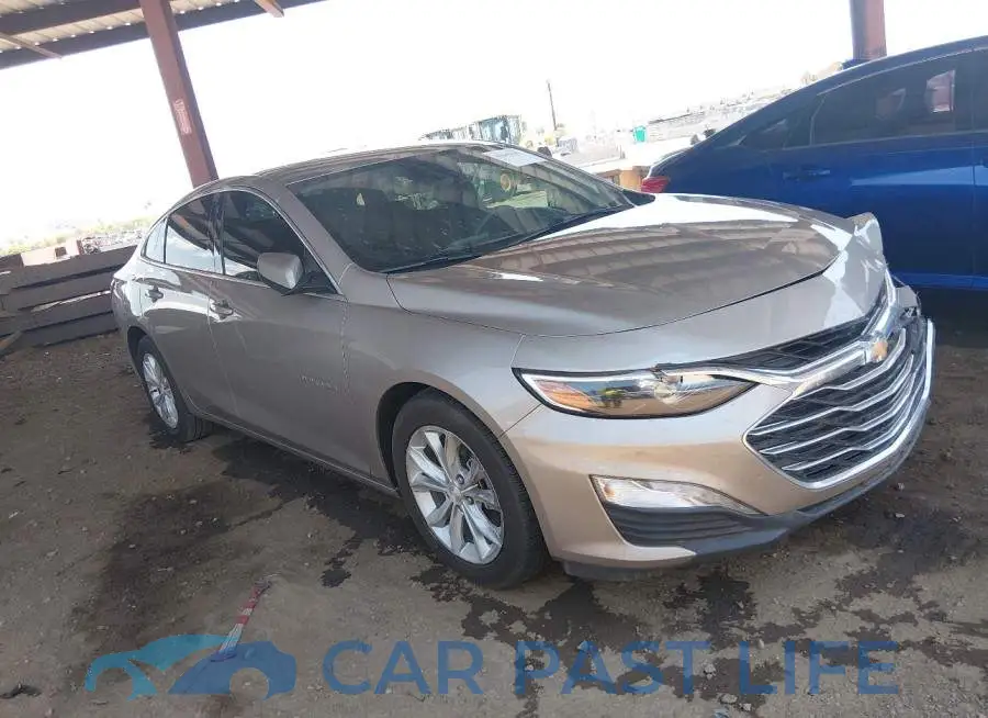 1G1ZD5ST8RF115917# 18