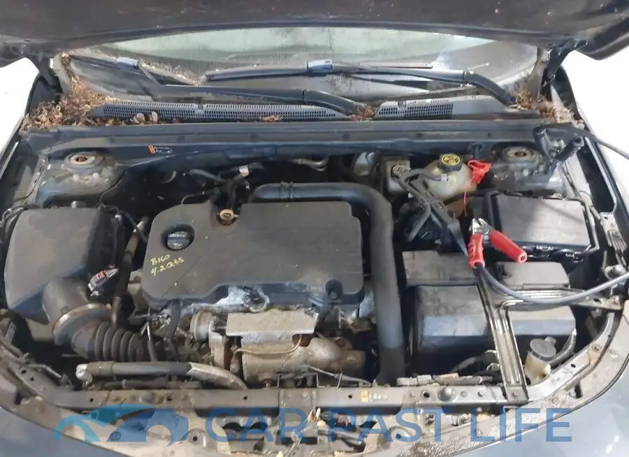 1G1ZD5ST6KF119017# 10