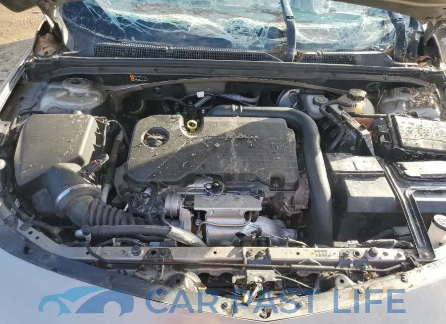 1G1ZD5ST9NF143199# 11