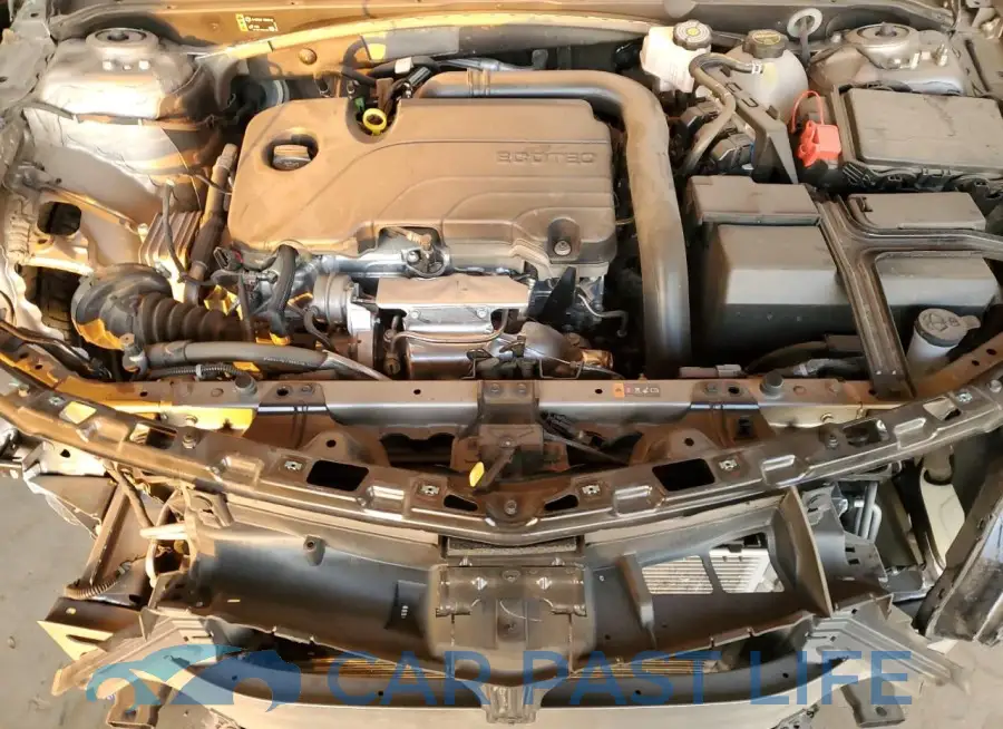 1G1ZB5ST6RF202284# 11