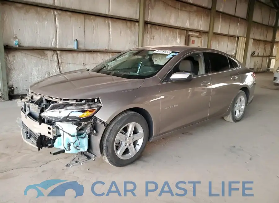 1G1ZB5ST6RF202284# 8