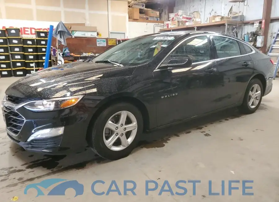 1G1ZD5ST3RF166113# 1