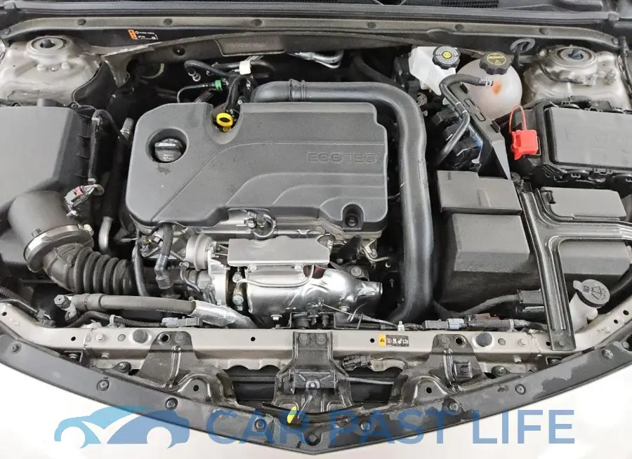 1G1ZD5ST6RF197582# 11