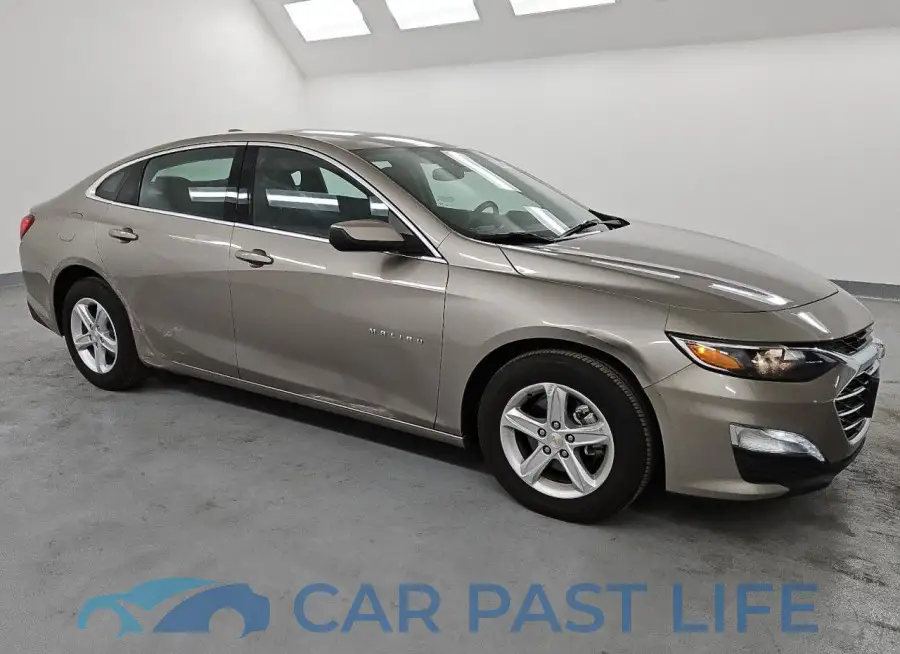 1G1ZD5ST6RF197582# 4