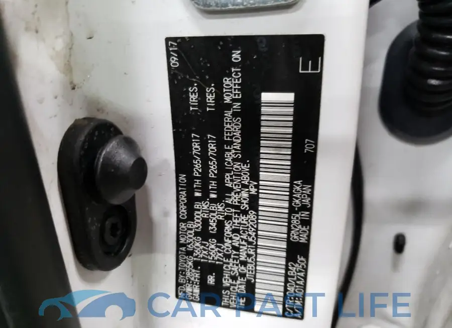 JTEBU5JR1J5492089# 13