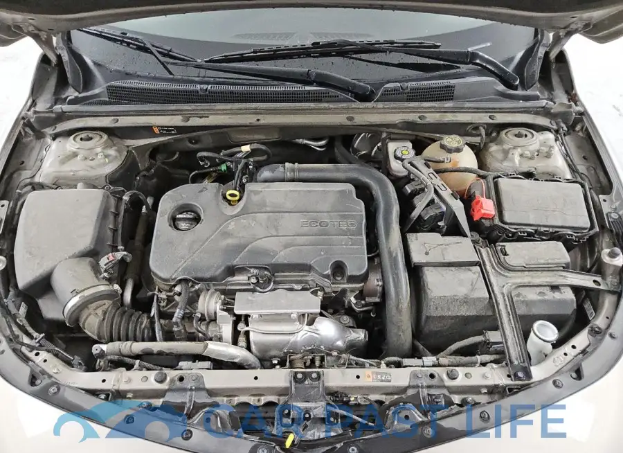 1G1ZD5ST1NF163950# 11