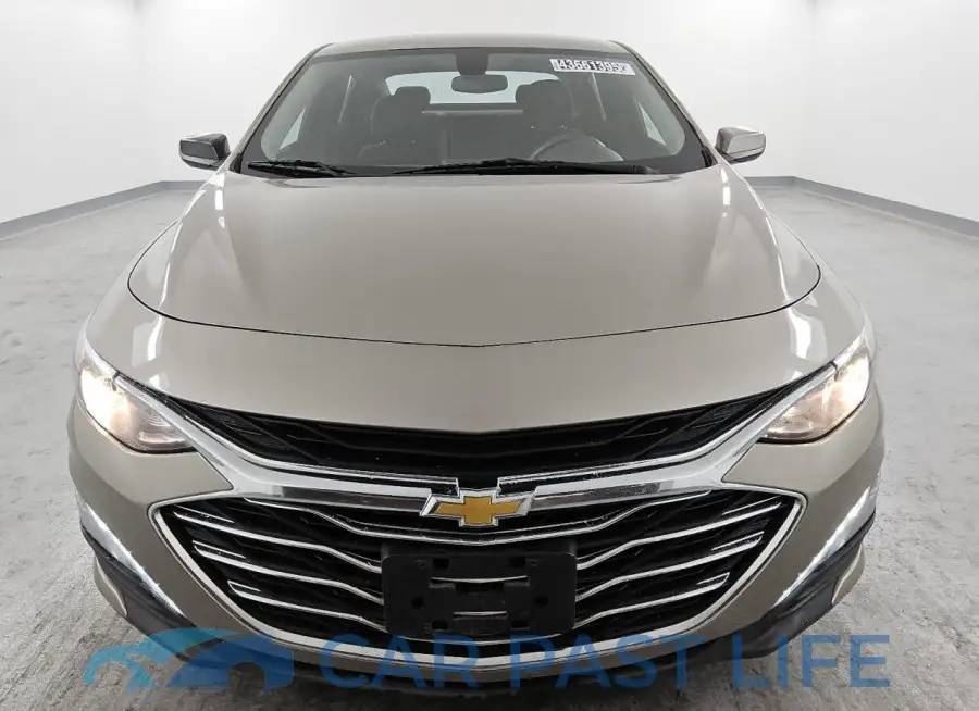 1G1ZD5ST1NF163950# 5