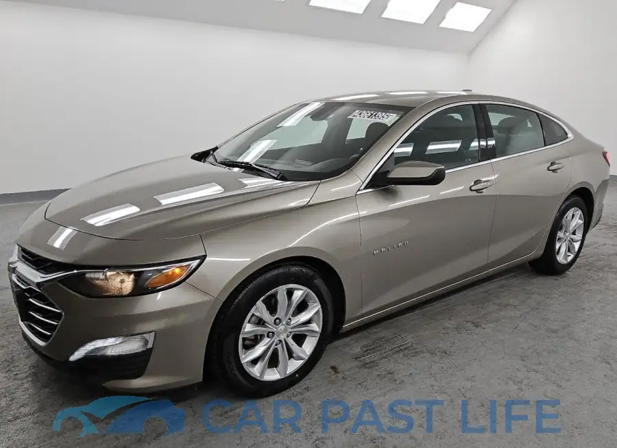 1G1ZD5ST1NF163950# 1
