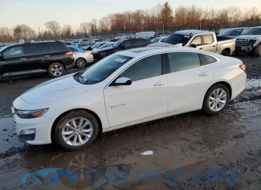 1G1ZD5ST5RF229695# 1