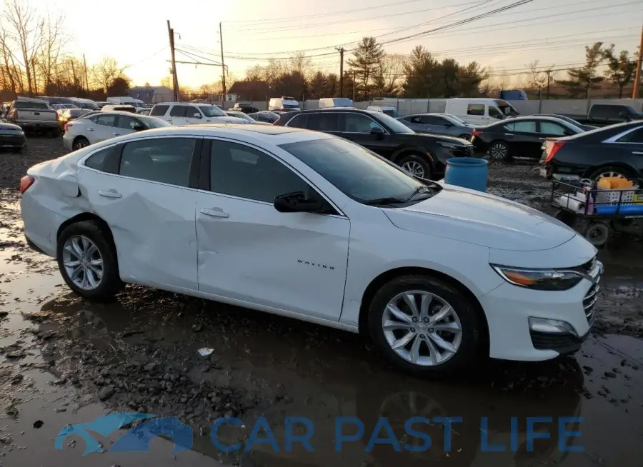 1G1ZD5ST5RF229695# 4