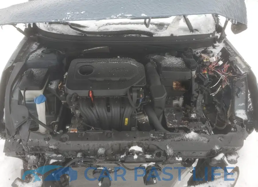 5NPE24AF4HH499426# 11