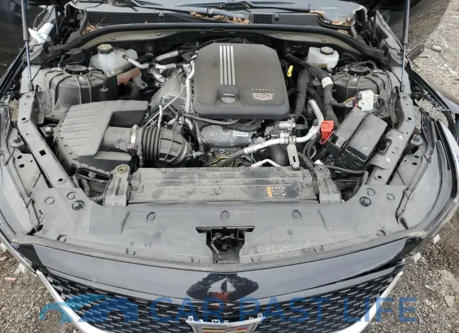 1G6DS5RK8P0116489# 11