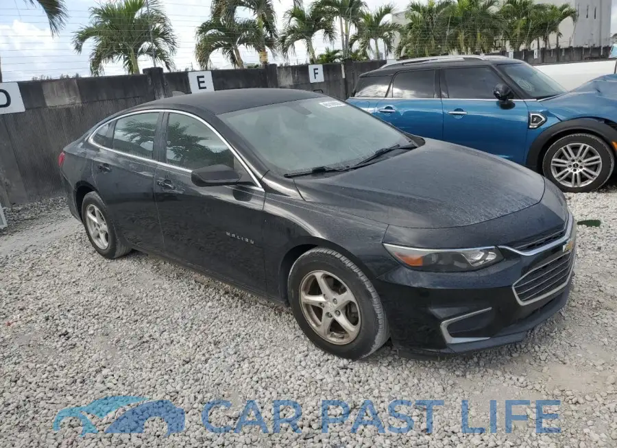 1G1ZB5ST1GF313631# 4