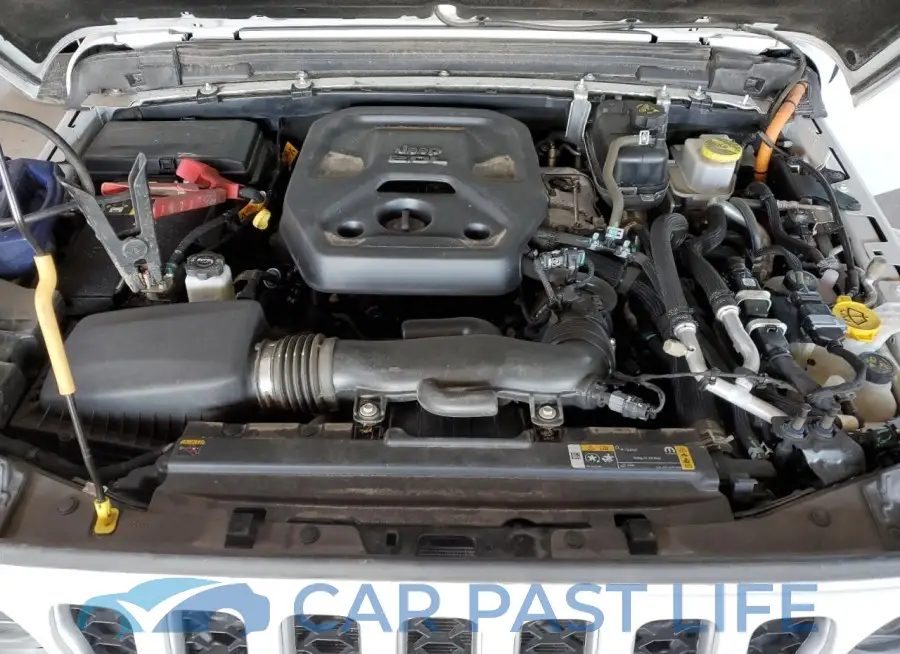 1C4JJXP65PW629619# 12