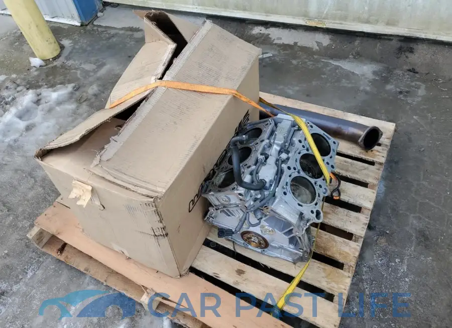 JN1AR5EF7LM100438# 12