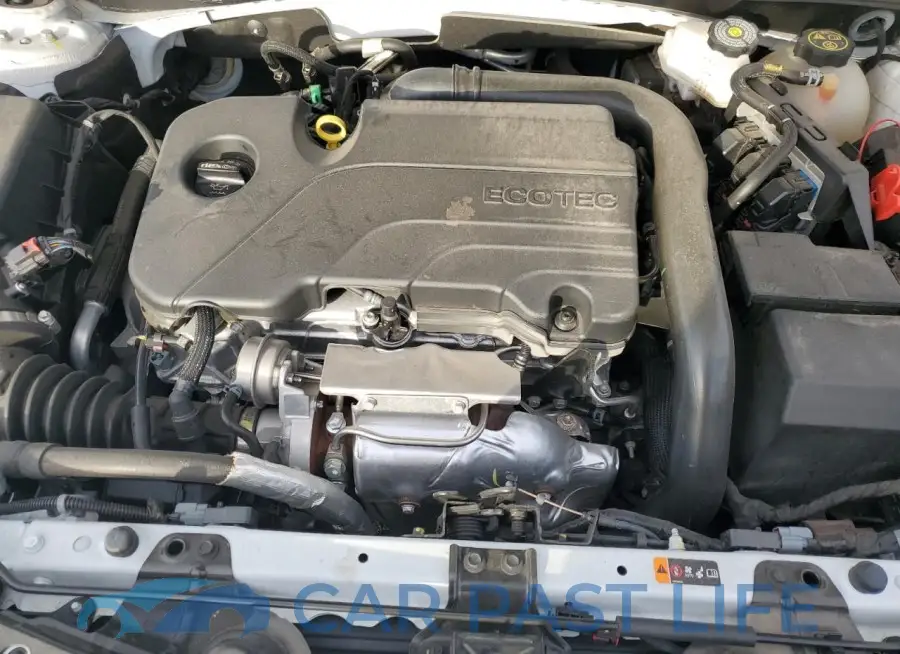 1G1ZD5ST8PF177167# 11