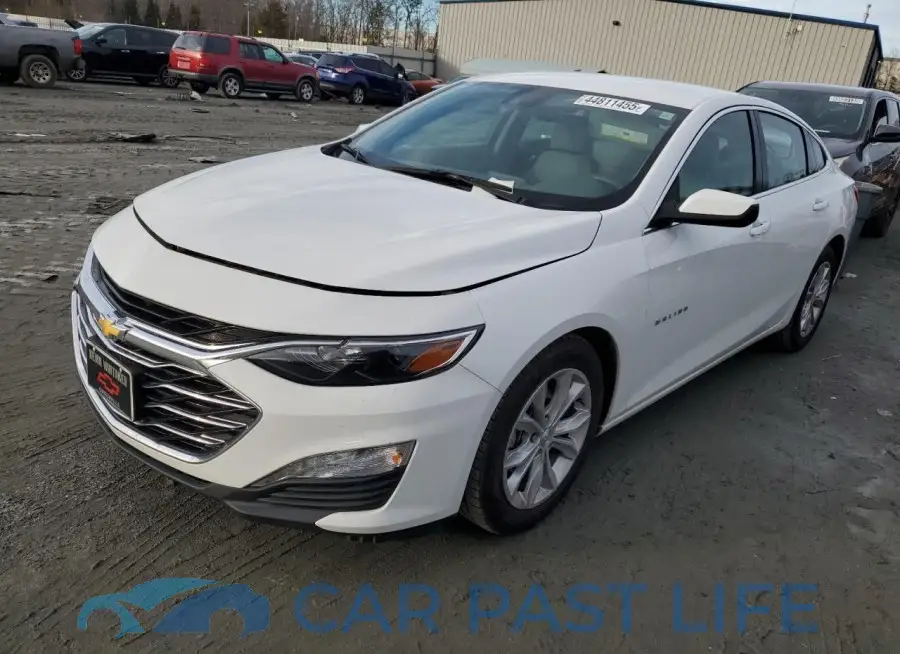 1G1ZD5ST8PF177167# 1