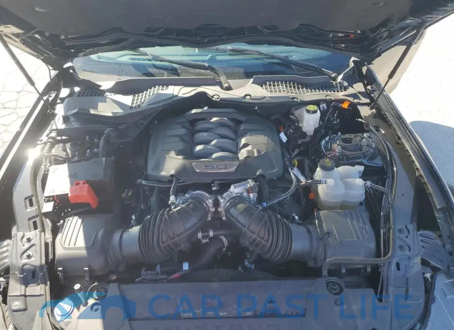 1FA6P8CFXR5425350# 11