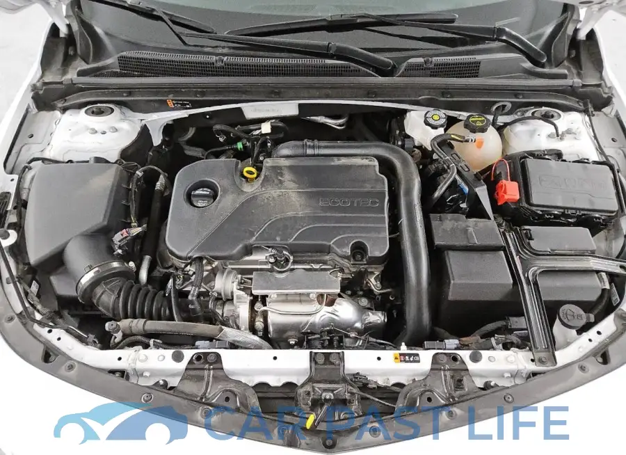 1G1ZD5ST4RF195541# 11