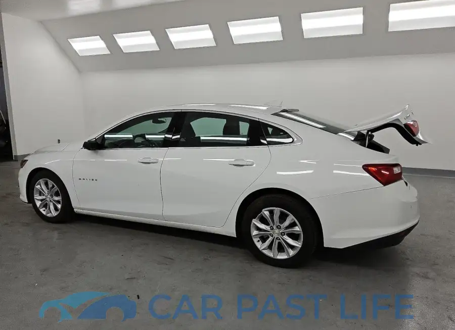 1G1ZD5ST4RF195541# 2