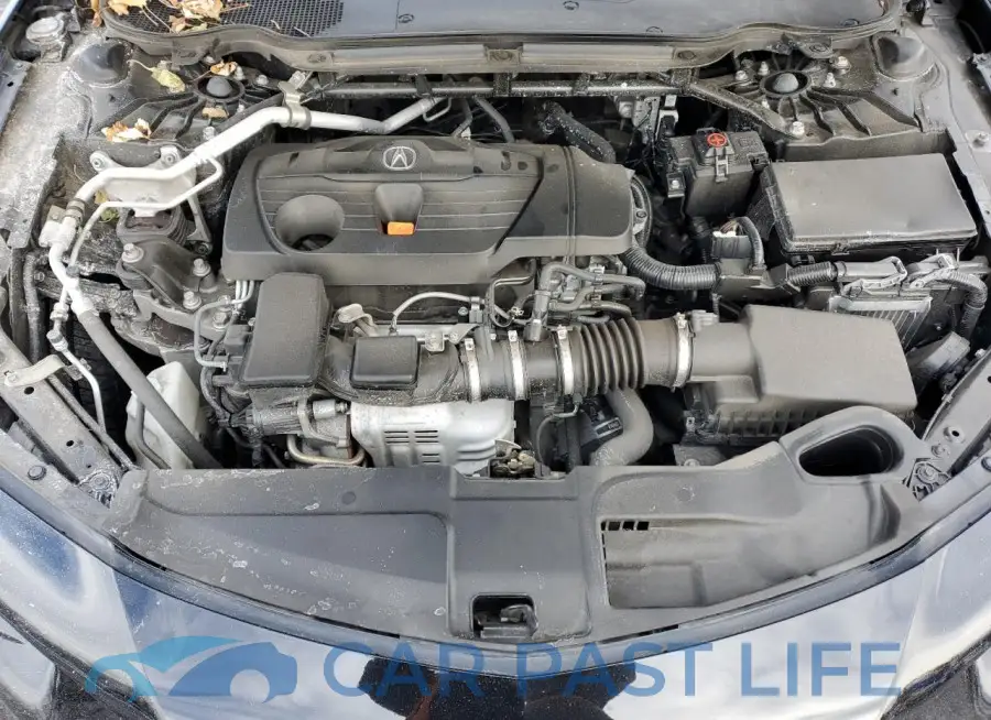 19UUB6F52MA003677# 11