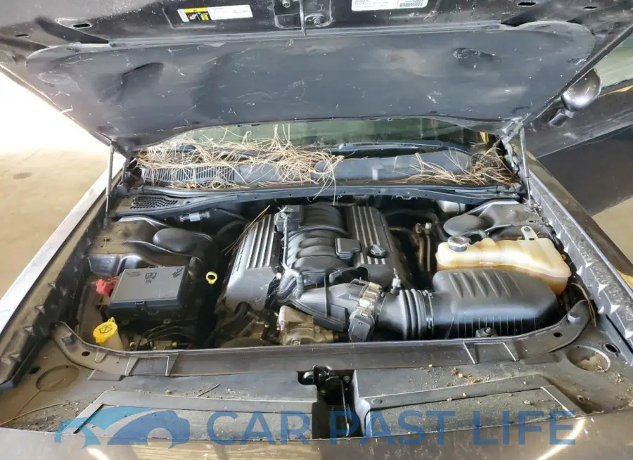 2C3CDZFJXGH240494# 11