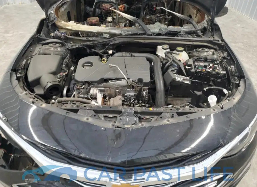 1G1ZD5ST6RF169328# 11