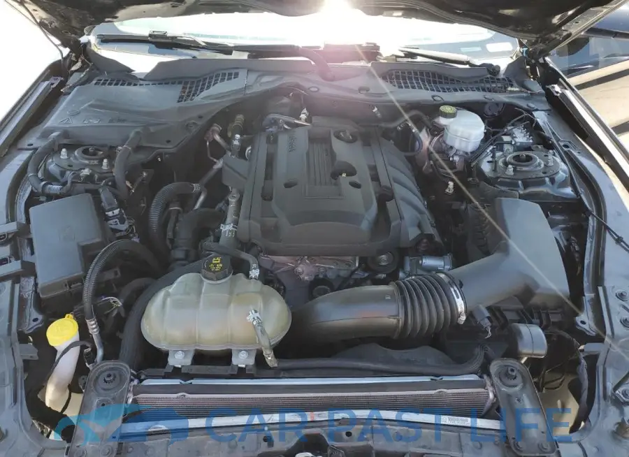 1FA6P8TH5K5157119# 11
