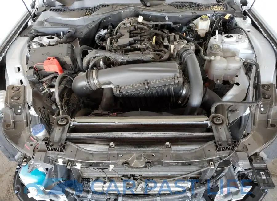 1FA6P8TH0R5109893# 11