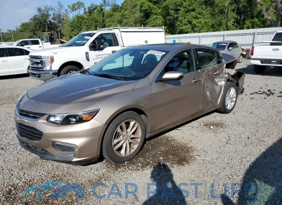 1G1ZD5ST6JF125561# 1