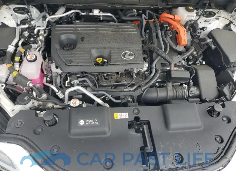 JTJHKCFZ9R2031878# 12