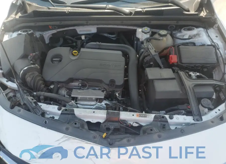 1G1ZD5ST8PF205162# 11