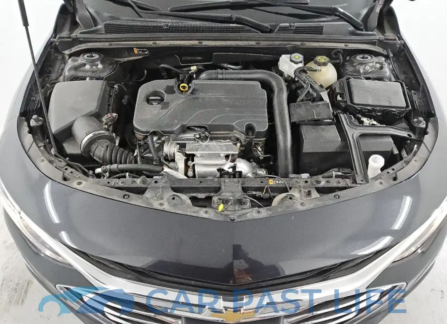 1G1ZD5ST4PF236909# 11