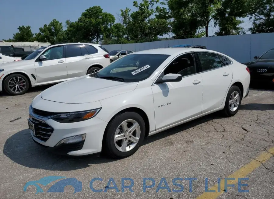 1G1ZB5ST5RF149156# 1