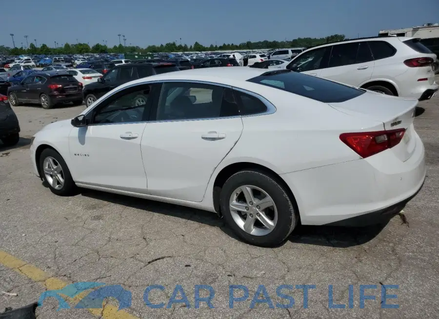 1G1ZB5ST5RF149156# 2
