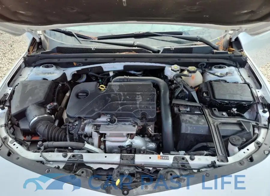 1G1ZD5ST8PF162930# 11