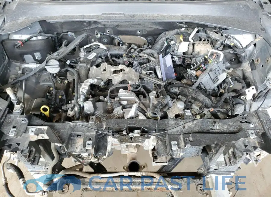 3C4NJDANXPT557094# 12