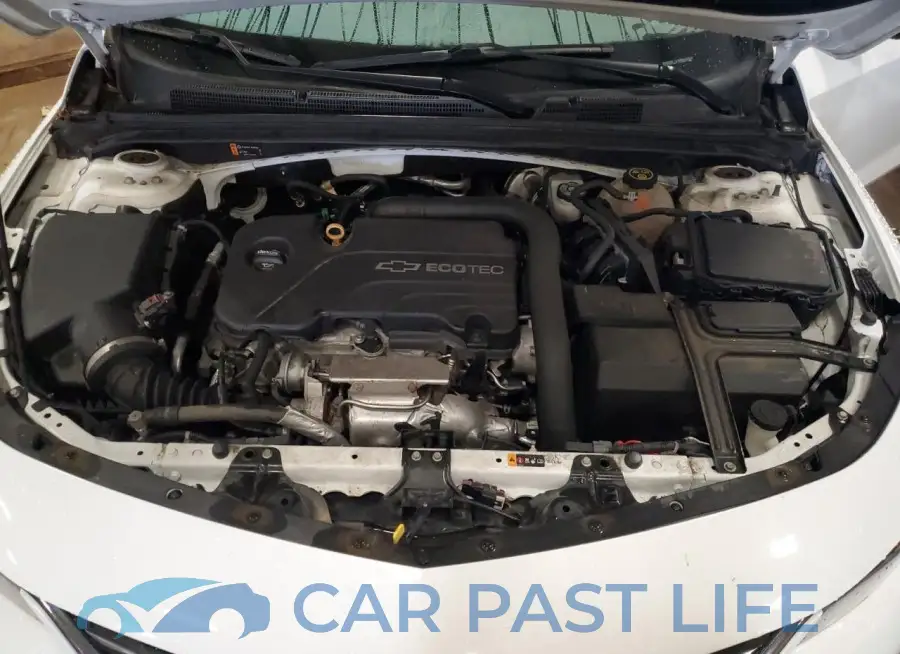 1G1ZD5ST4JF132587# 11