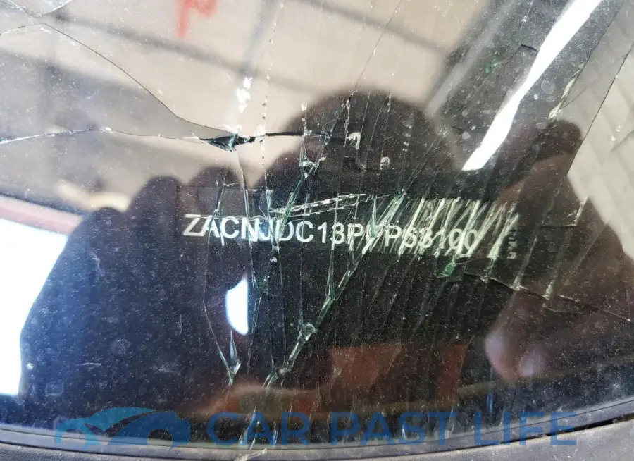 ZACNJDC13PPP63100# 13