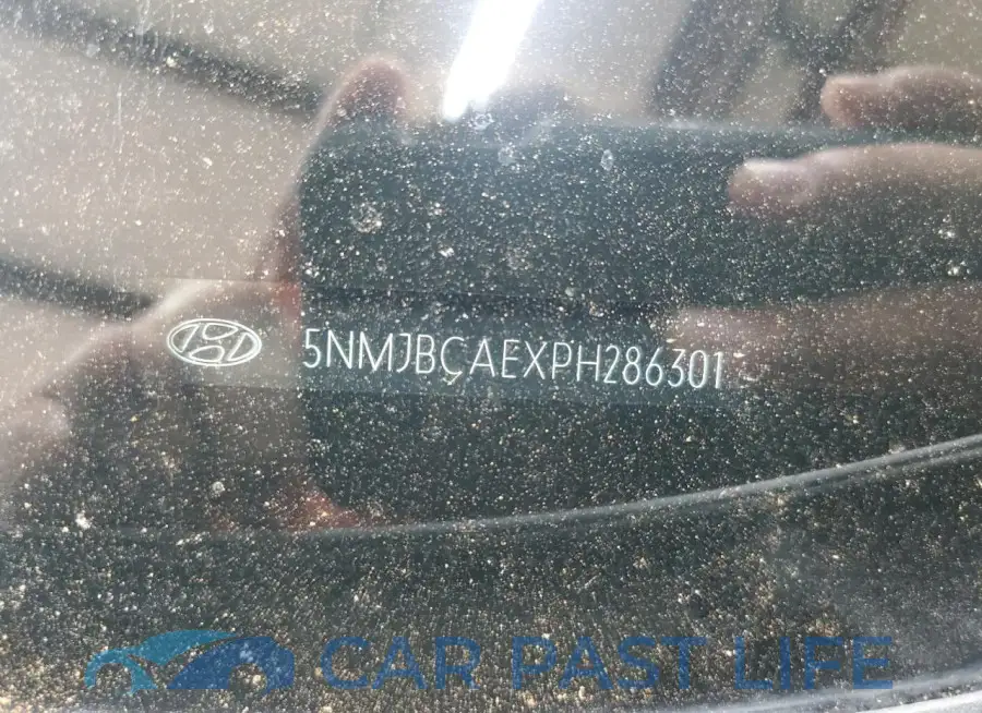 5NMJBCAEXPH286301# 13