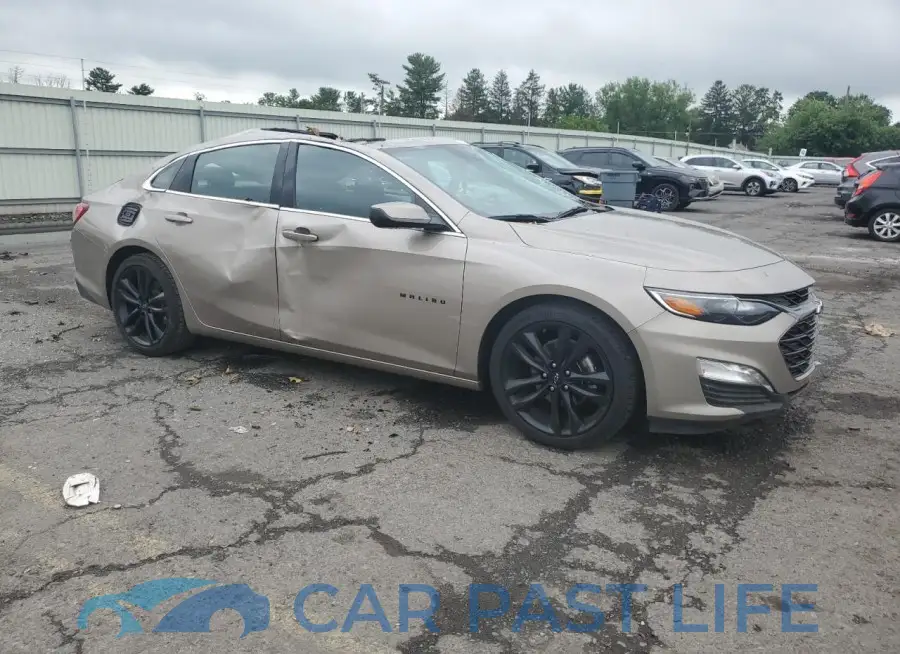 1G1ZD5ST3PF238831# 4