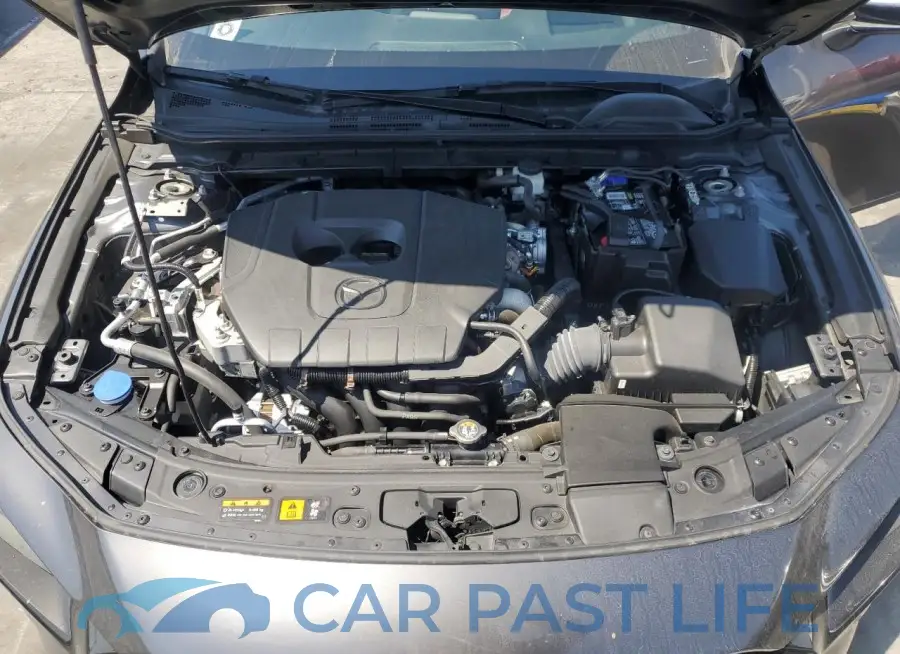 JM1BPAMM1P1621632# 11