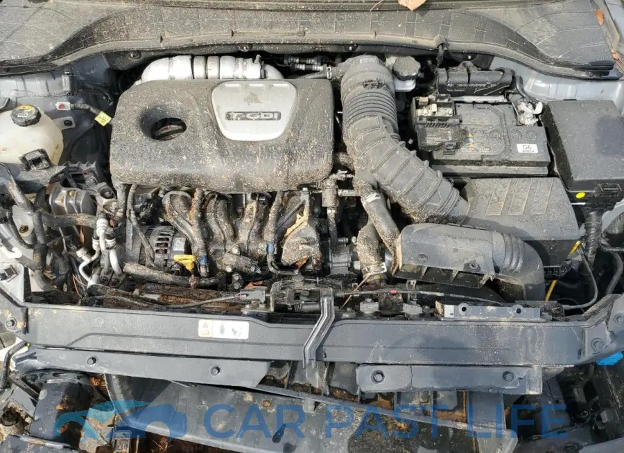 KM8K63A51MU701143# 12