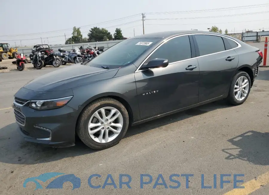 1G1ZD5ST6JF135846# 1