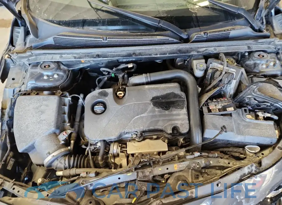 1G1ZD5ST6KF124475# 11