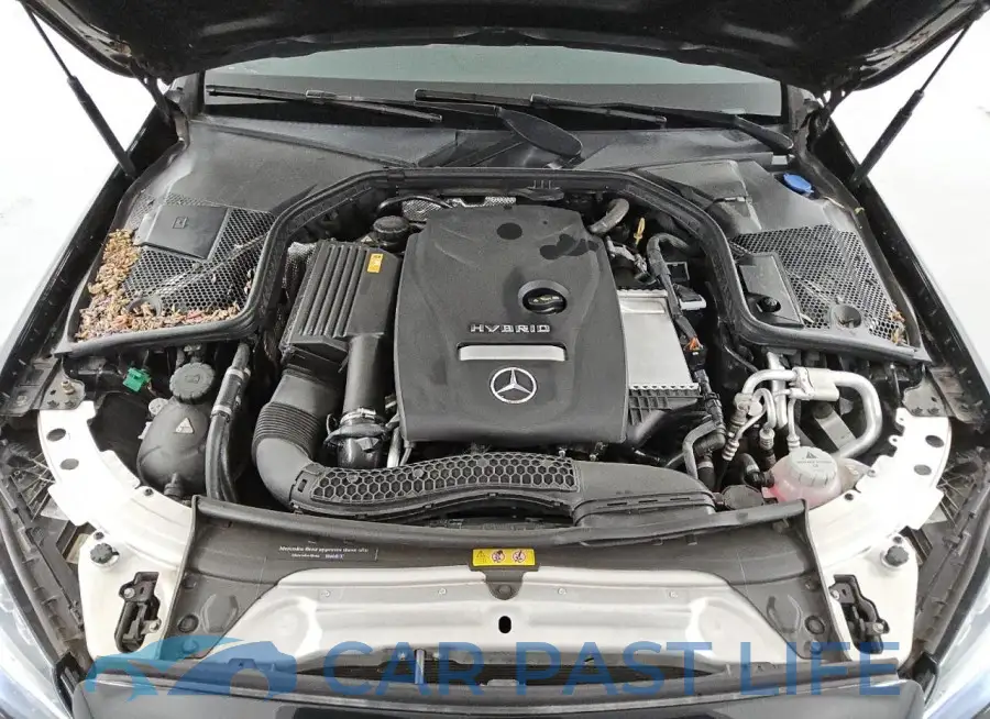 55SWF4HB8JU255163# 11