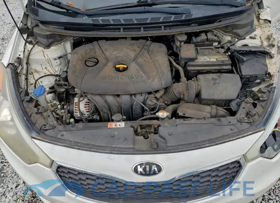KNAFK4A65G5591967# 11