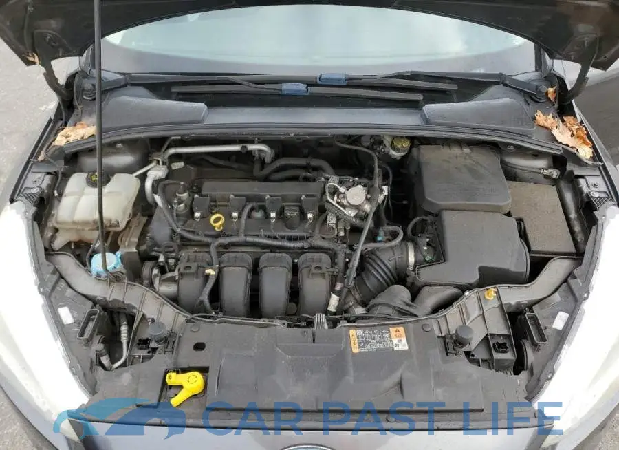 1FADP3F23GL320029# 11