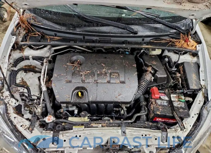 2T1BURHE1HC843644# 11