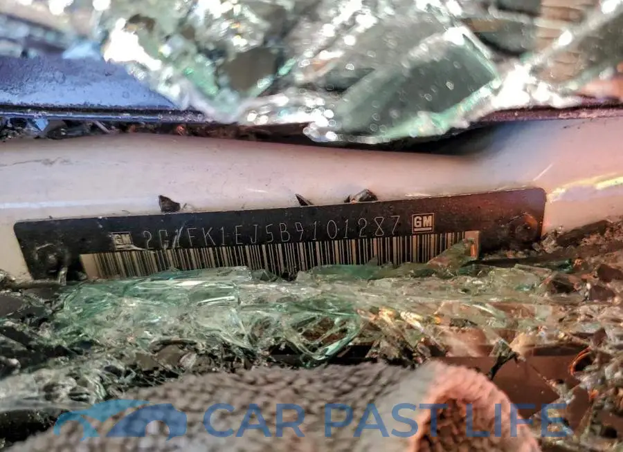 2G1FK1EJ5B9101287# 12